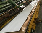 304/304L/304H Stainless Steel Sheet/Plate
